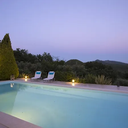 Felicetta Vila